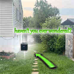 139 - Curiousity...