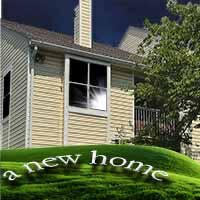 146 - HOME!